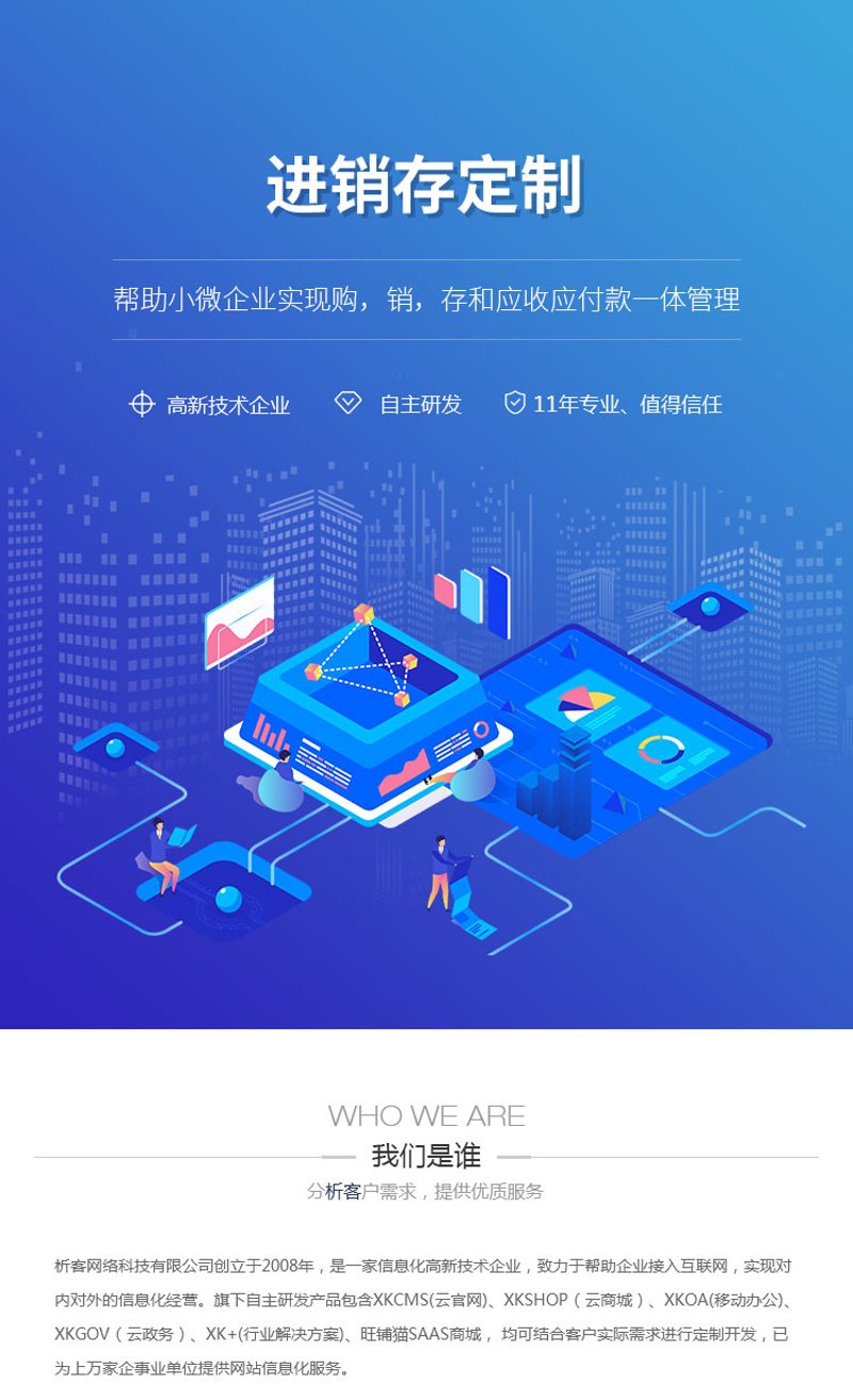 系统集成服务：企业信息化的催化剂
